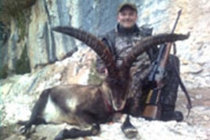 ​Besciete Ibex i Spanien